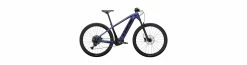 Trek Powerfly 5