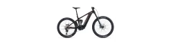 Giant Reign E+ 2 MX 800Wh